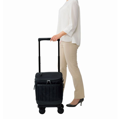 D-597 リニーエⅣ スワニー ショッピングカート 4輪ストッパー付の説明