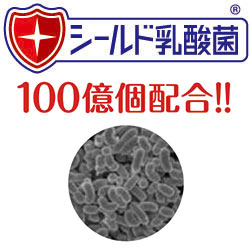 エンジョイクリミールの説明
