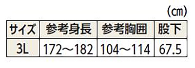 上下つづき服 コンビネーションⅡ(フルオープン型)3Lサイズ 5638-A 大阪エンゼル 介護パジャマ･ねまき プッシュホック式の寸法図