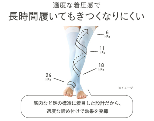 靴下サプリ 寝ながらうずまいて血行を促すソックス 岡本 しめつけない むくみ解消 靴下 冷え性 レデイースの説明