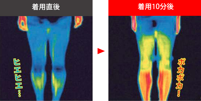 TERAXHOT 血行促進温感スパッツ S～LLの説明