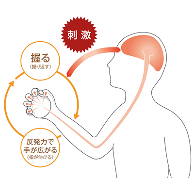 癒しの触感クッションの説明