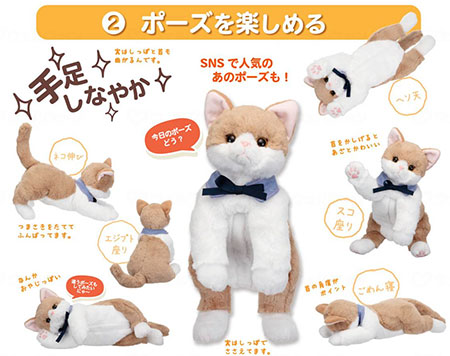 なごみケーションにゃんこ ぬくもり　ポーズを楽しむ